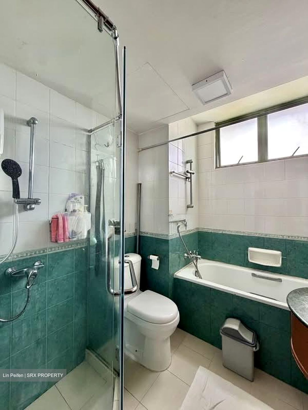 Windermere (D23), Condominium #551848571